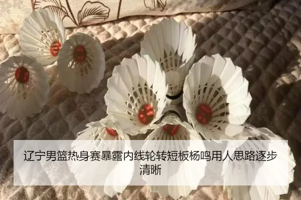 辽宁男篮热身赛暴露内线轮转短板杨鸣用人思路逐步清晰