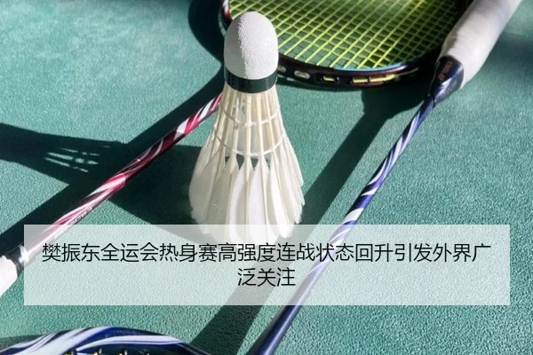 樊振东全运会热身赛高强度连战状态回升引发外界广泛关注